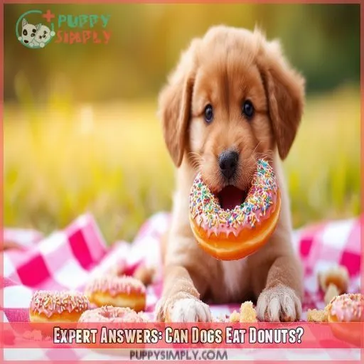 Expert Answers: Can Dogs Eat Donuts