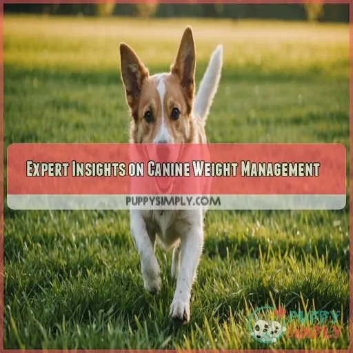 Expert Insights on Canine Weight Management