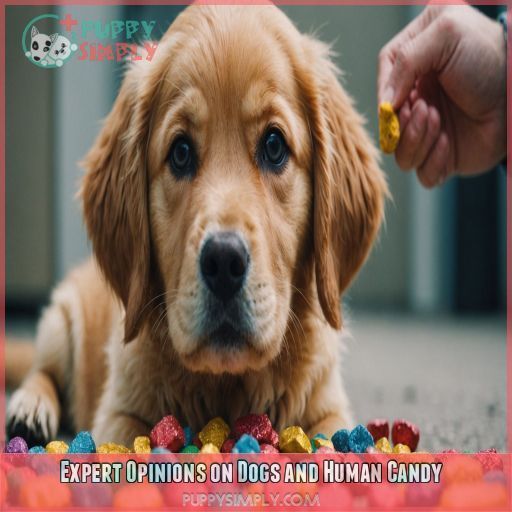 Expert Opinions on Dogs and Human Candy