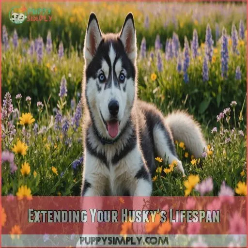 Extending Your Husky's Lifespan