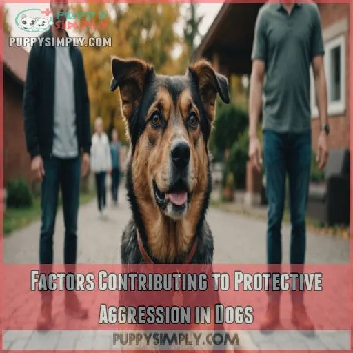 Factors Contributing to Protective Aggression in Dogs