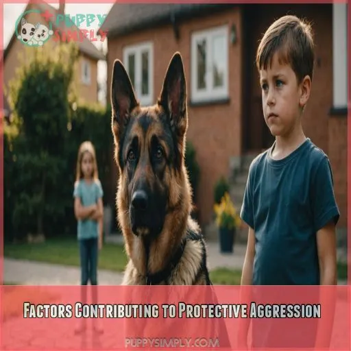 Factors Contributing to Protective Aggression