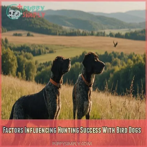 Factors Influencing Hunting Success With Bird Dogs