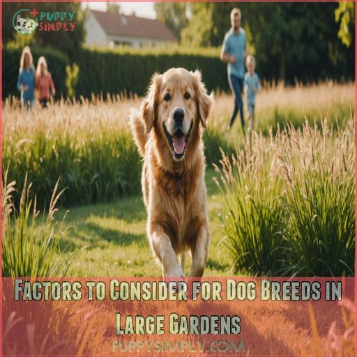 Factors to Consider for Dog Breeds in Large Gardens