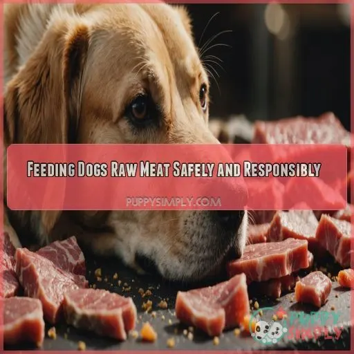 Feeding Dogs Raw Meat Safely and Responsibly