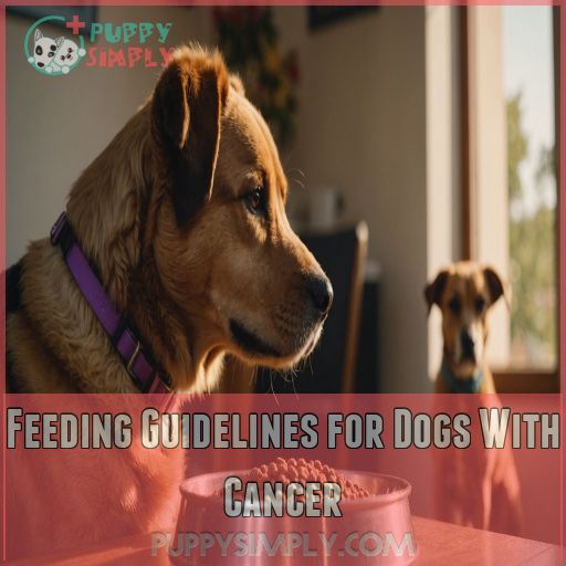 Feeding Guidelines for Dogs With Cancer