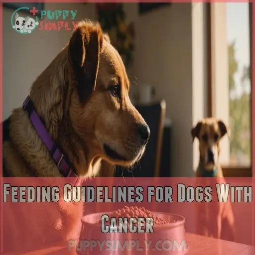 Feeding Guidelines for Dogs With Cancer