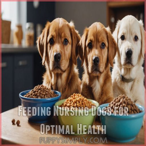 Feeding Nursing Dogs for Optimal Health