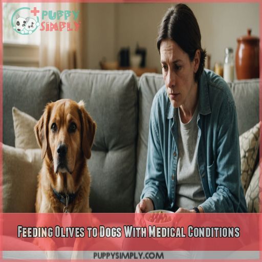 Feeding Olives to Dogs With Medical Conditions