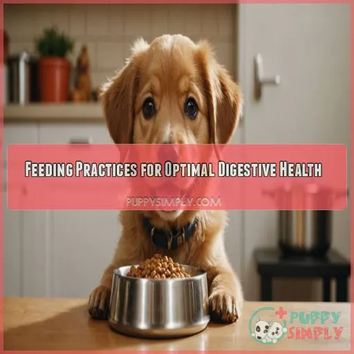 Feeding Practices for Optimal Digestive Health