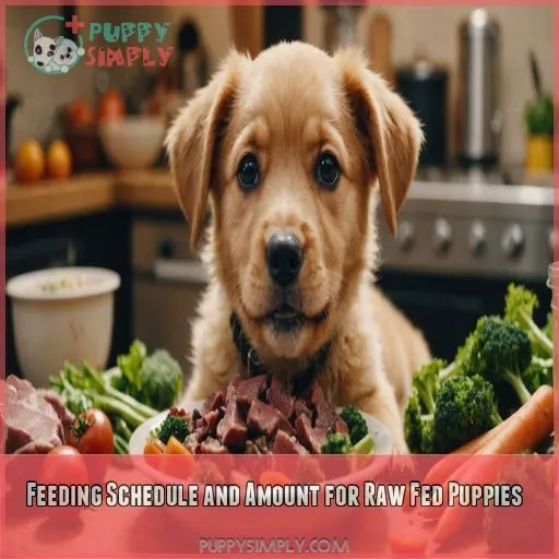 Feeding Schedule and Amount for Raw Fed Puppies