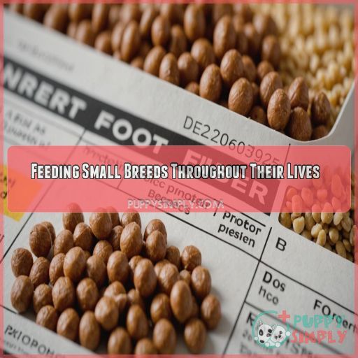 Feeding Small Breeds Throughout Their Lives