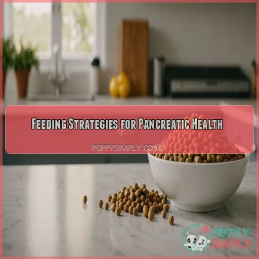 Feeding Strategies for Pancreatic Health