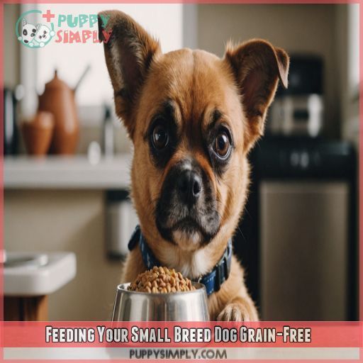 Feeding Your Small Breed Dog Grain-Free