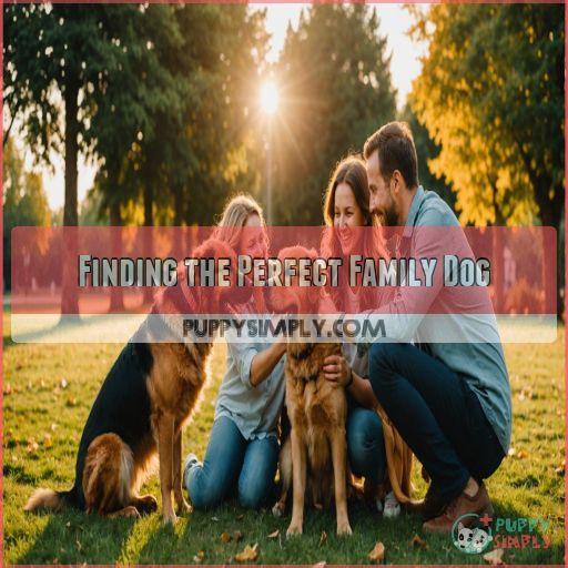 Finding the Perfect Family Dog