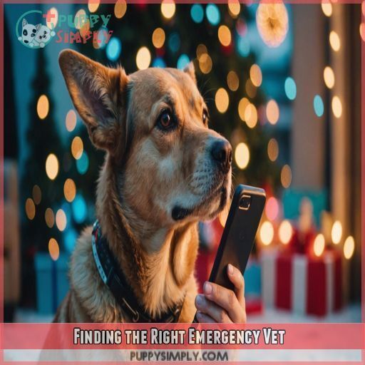 Finding the Right Emergency Vet Finding the Right Emergency Vet