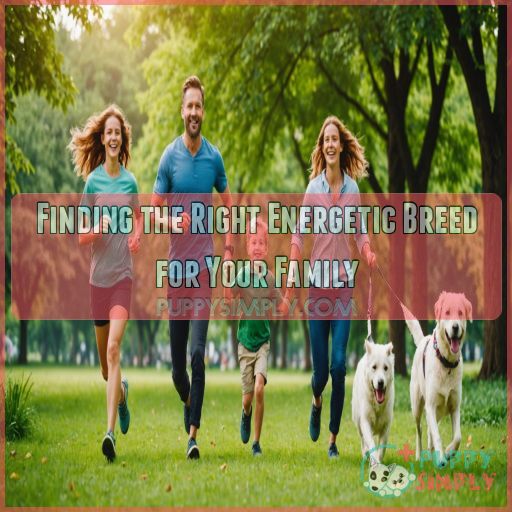 Finding the Right Energetic Breed for Your Family