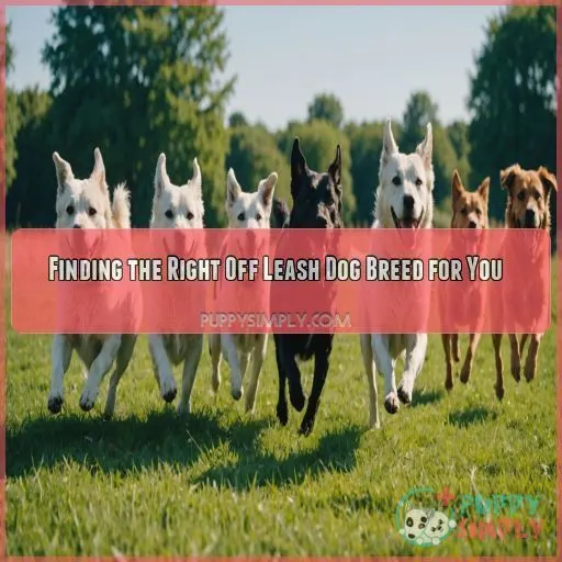 Finding the Right Off Leash Dog Breed for You