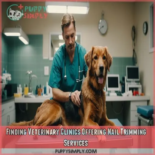 Finding Veterinary Clinics Offering Nail Trimming Services