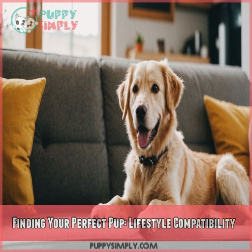 Finding Your Perfect Pup: Lifestyle Compatibility