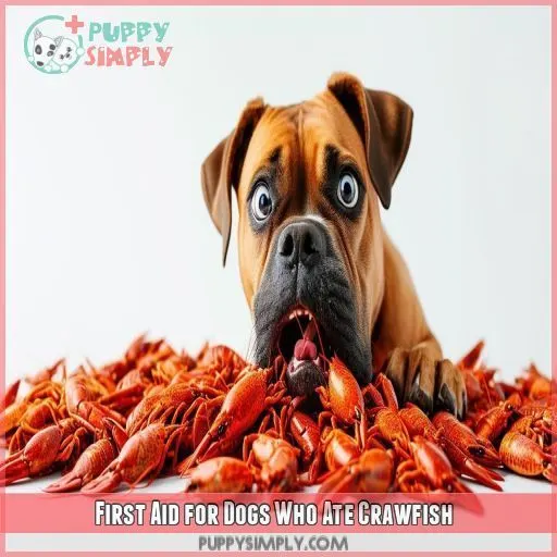 First Aid for Dogs Who Ate Crawfish