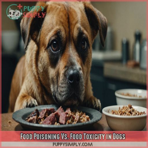 Food Poisoning Vs. Food Toxicity in Dogs