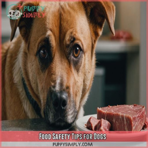 Food Safety Tips for Dogs Food Safety Tips for Dogs