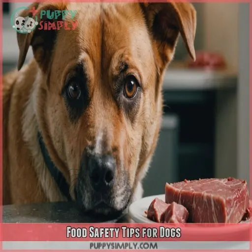 Food Safety Tips for Dogs