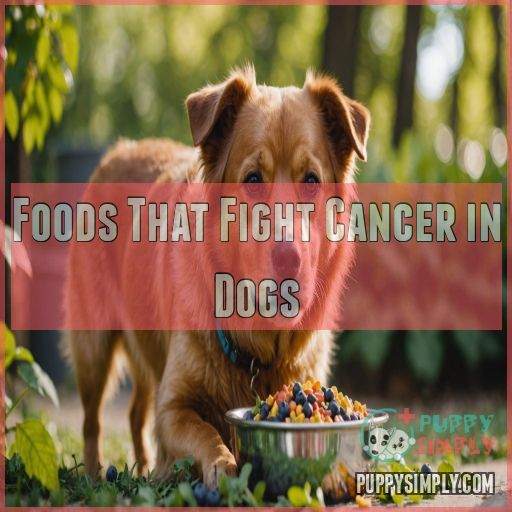 Foods That Fight Cancer in Dogs