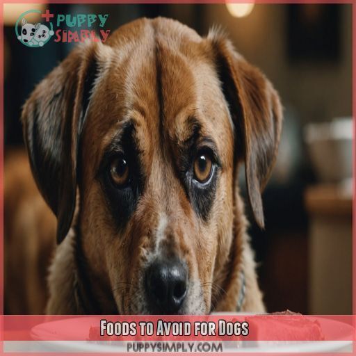 Foods to Avoid for Dogs Foods to Avoid for Dogs