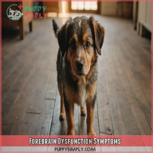 Forebrain Dysfunction Symptoms