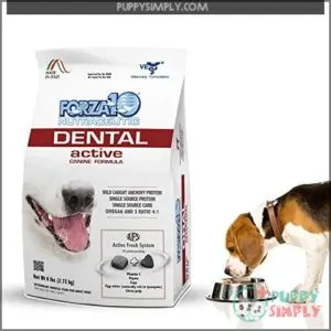 Forza10 Active Oral Care Dog