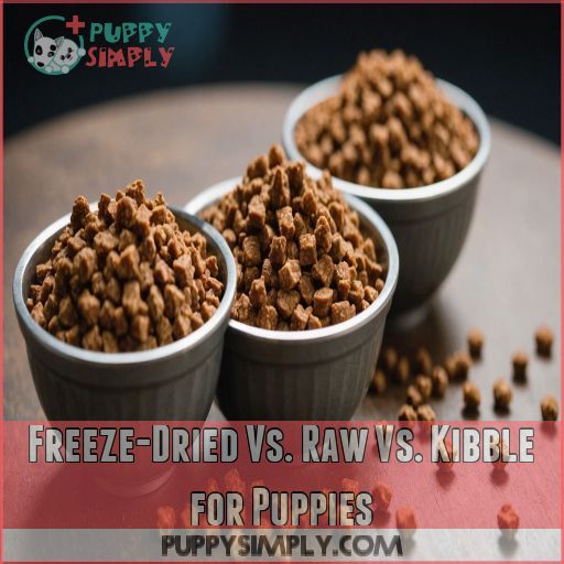 Freeze-Dried Vs. Raw Vs. Kibble for Puppies