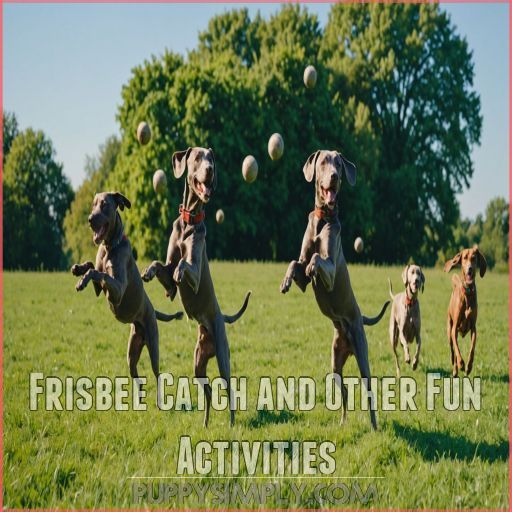 Frisbee Catch and Other Fun Activities