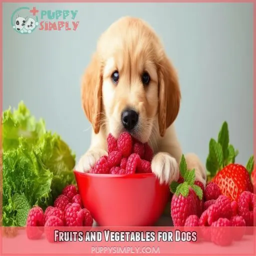 Fruits and Vegetables for Dogs