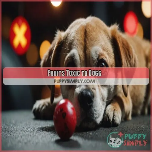 Fruits Toxic to Dogs