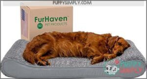Furhaven Orthopedic Dog Bed for B073Q15NR2