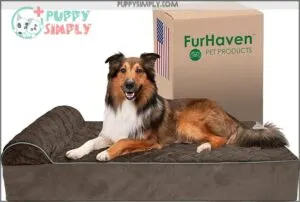 Furhaven Orthopedic Dog Bed for