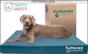 Furhaven Water-Resistant Cooling Gel Dog