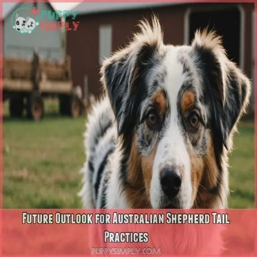 Future Outlook for Australian Shepherd Tail Practices Future Outlook for Australian Shepherd Tail Practices