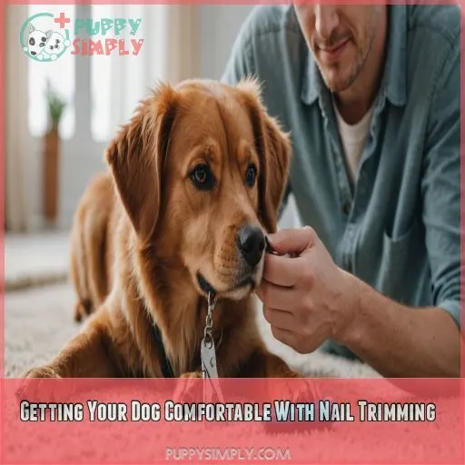 Getting Your Dog Comfortable With Nail Trimming