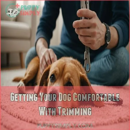 Getting Your Dog Comfortable With Trimming