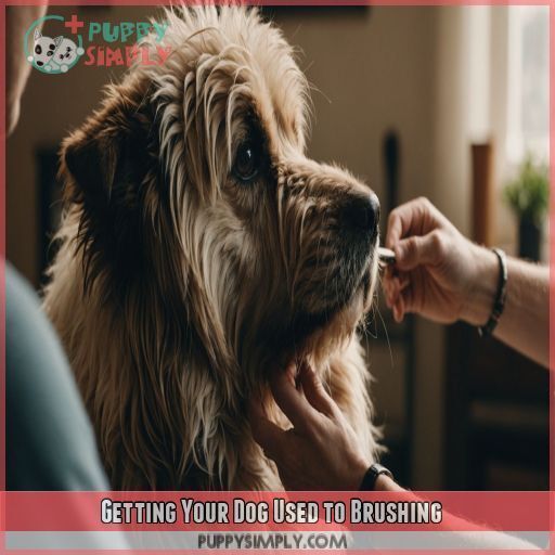 Getting Your Dog Used to Brushing Getting Your Dog Used to Brushing