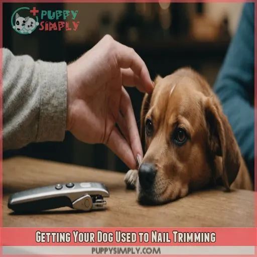 Getting Your Dog Used to Nail Trimming