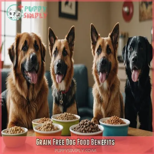 Grain Free Dog Food Benefits