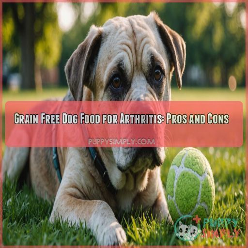 Grain Free Dog Food for Arthritis: Pros and Cons