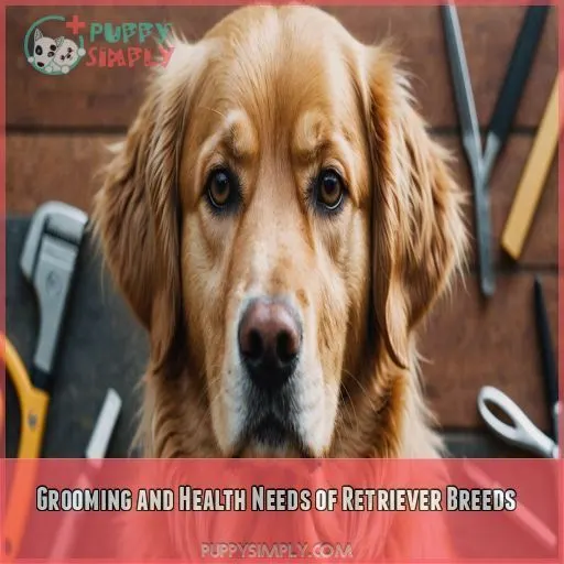 Grooming and Health Needs of Retriever Breeds