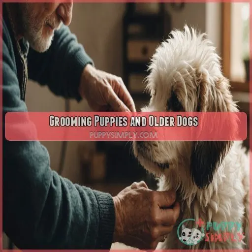 Grooming Puppies and Older Dogs