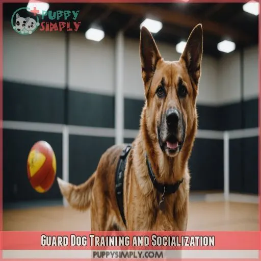 Guard Dog Training and Socialization