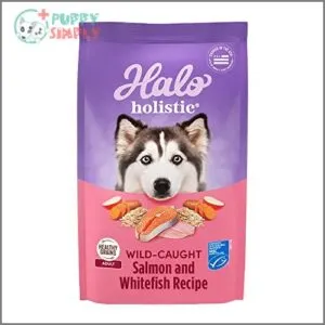 Halo Holistic Dog Food, Complete